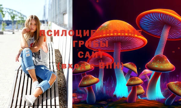 метадон Белокуриха