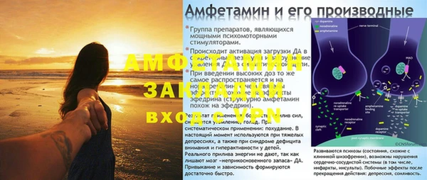 spice Богданович