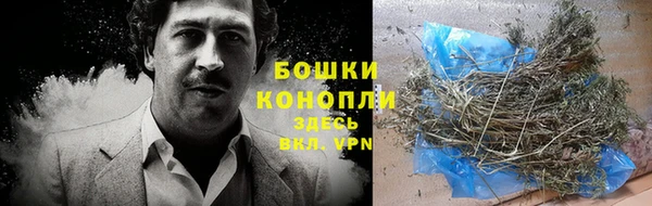 метадон Белокуриха
