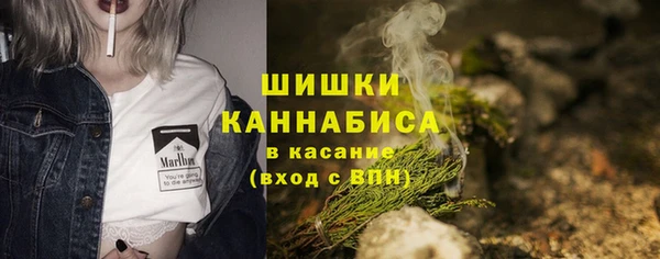 метадон Белокуриха